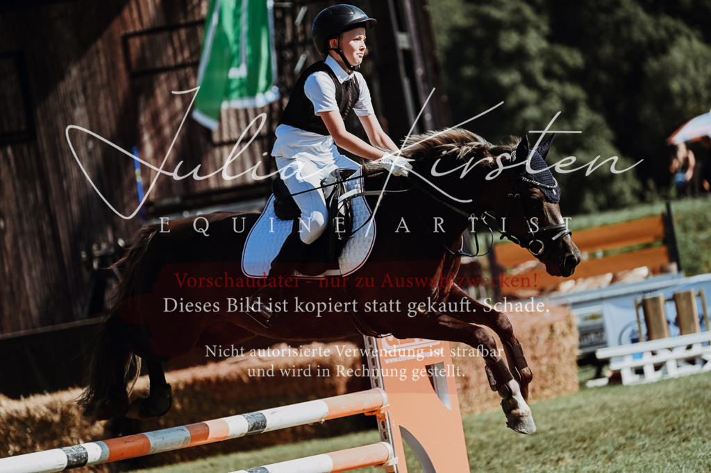 DSC_6915 | Pferde- und Turnierfotografie in Westsachsen. Pferdeportraits, Auftragszeichnungen und intuitive Kunst.