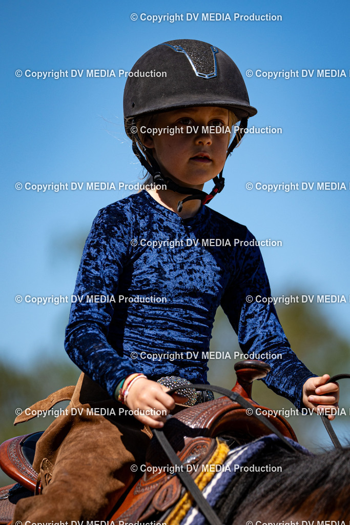 Balingen Tag 1-1104 | dv-media-shop - Realisiert mit Pictrs.com