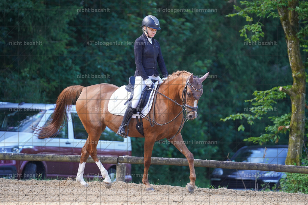 20240706-FAH04426 | Grafing Turnierfotos, Reitverein Ebersberg, Turnierfotografen Bayern, reitsportbilder, Pferdefotograf, reitsportfotograf, Sportbilder, Reitsportfotografie, Fotoagentur Herrmann, Turnierfotograf