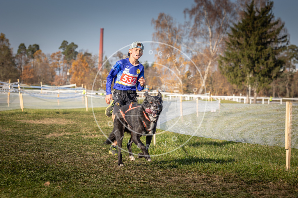CaniXpix_0L8A8808 | Hundefotografie, Tierfotograf, Pfotenfotografie, Fotoshooting Hund, Hunde Portrait, Hundesport, Hundeportraits, Heideshooting, Hunde, Sportfotograf, Hundefotograf, Turnierhundsport, THS,  - Realisiert mit Pictrs.com