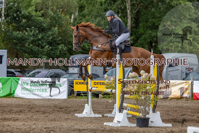 17.8 SP 27-2 A (416 von 616) | mandyhollmannphotographie