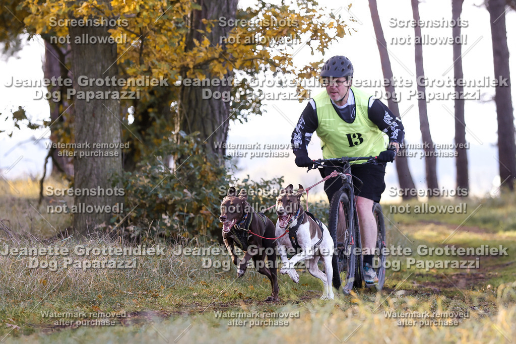 Dog Paparazzi - Elsholz 25 -73 | Dog Paparazzi Jeanette Grottendiek Fotografie & Videografie - Realisiert mit Pictrs.com