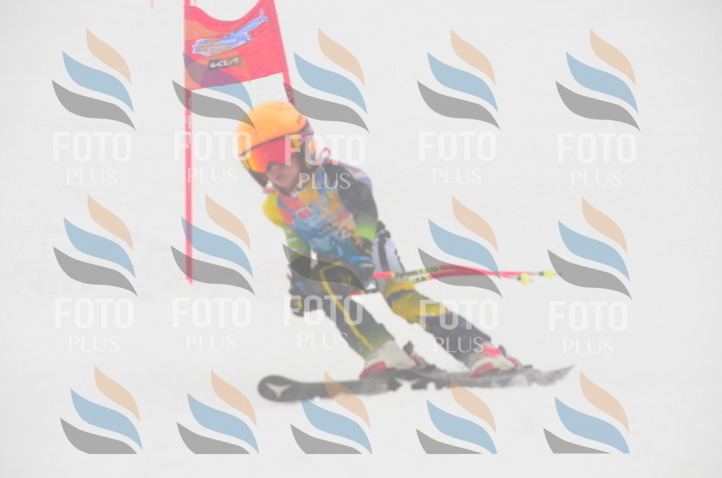 C0892 | holidayphoto