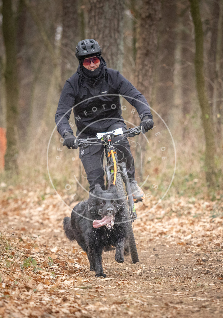 Pfotenfotografie_DV3A6372 | Hundefotografie, Tierfotograf, Pfotenfotografie, Fotoshooting Hund, Hunde Portrait, Hundesport, Hundeportraits, Heideshooting, Hunde, Sportfotograf, Hundefotograf, Turnierhundsport, THS,  - Realisiert mit Pictrs.com