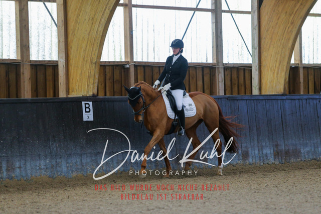 IMG_0282 | Deine Turnierfotos vom Reitturnier online kaufen: Dressur, Springen & Siegerehrung. Professionelle Pferdefotografie aus dem Rheinland – als Download & Print.Alternative: Turnierfotograf für den Pferdesport: Finde deine Fotos von Dressur- und Springturnier