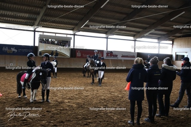 JugendTrophy1171 | Fotografie, Tiere, Hunde, Katzen, Pferde, Sportfotografie, Fotosession, Tierfotografie, Turnierfotografie, Fotografin, Fotograf - Realisiert mit Pictrs.com