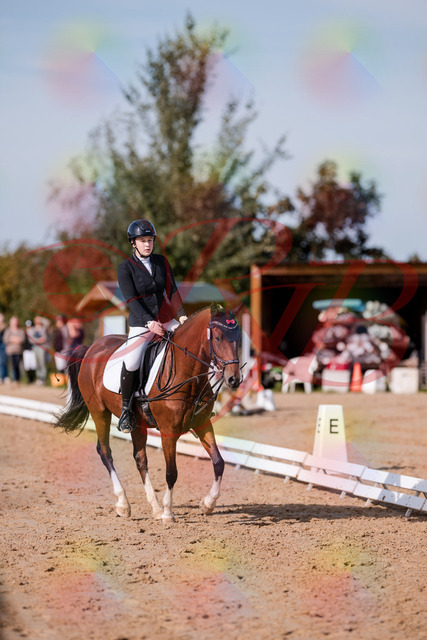 2026_10_03_Siefer-Hof_115752_Z81_99252067 | Professionelle Reitsport-, Turnier- und Eventfotografie von Robert Broda. Galerien mit ausgewählten und bearbeiteten Bildern direkt online ansehen und bestellen.
