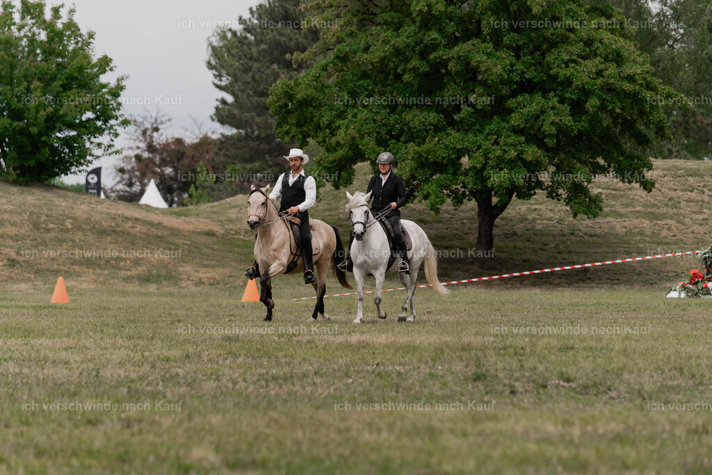 Showprogramm-189 | working equitationturnier fotograf videograf stoibphotography marixx film working equitation deutschland reitsport turnierfotografie eventfotografie equestrian events