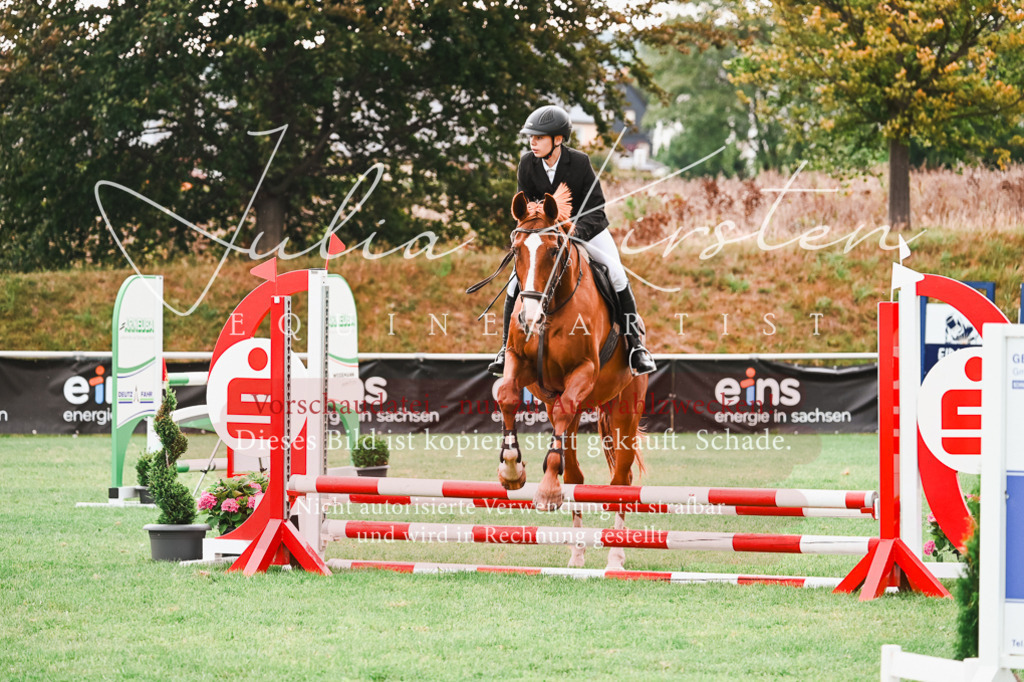 DSC_5842 | Pferde- und Turnierfotografie in Westsachsen. Pferdeportraits, Auftragszeichnungen und intuitive Kunst.