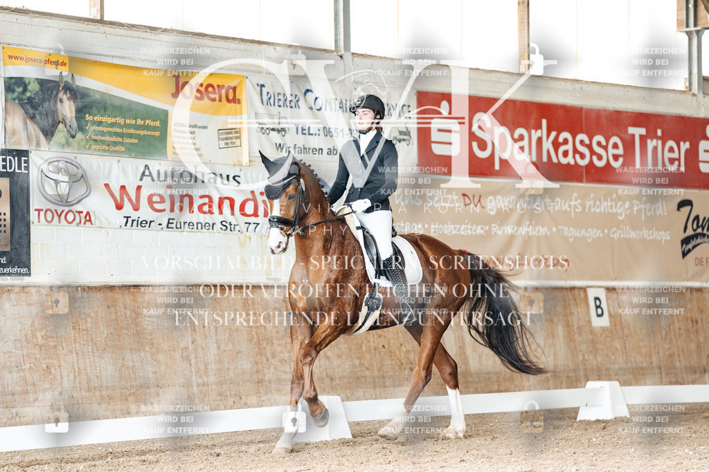 CK901741 | Turnierfotografie Pferdefotografie Trier Rheinland-Pfalz Pferdesport Reitsport Tierfotografie Sportfotografie Pferdevideo Pferdevideografie Equestrianvideography equestrianphotography  - Realisiert mit Pictrs.com