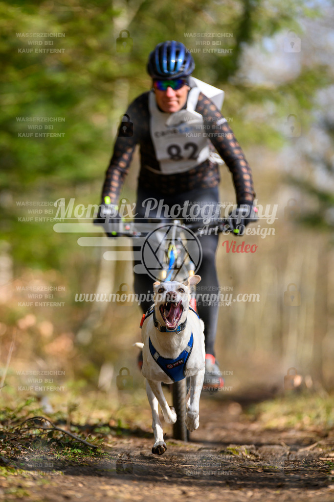 MompixPhotography_ReiatRennen2024_Bike1H-108 | PayLife