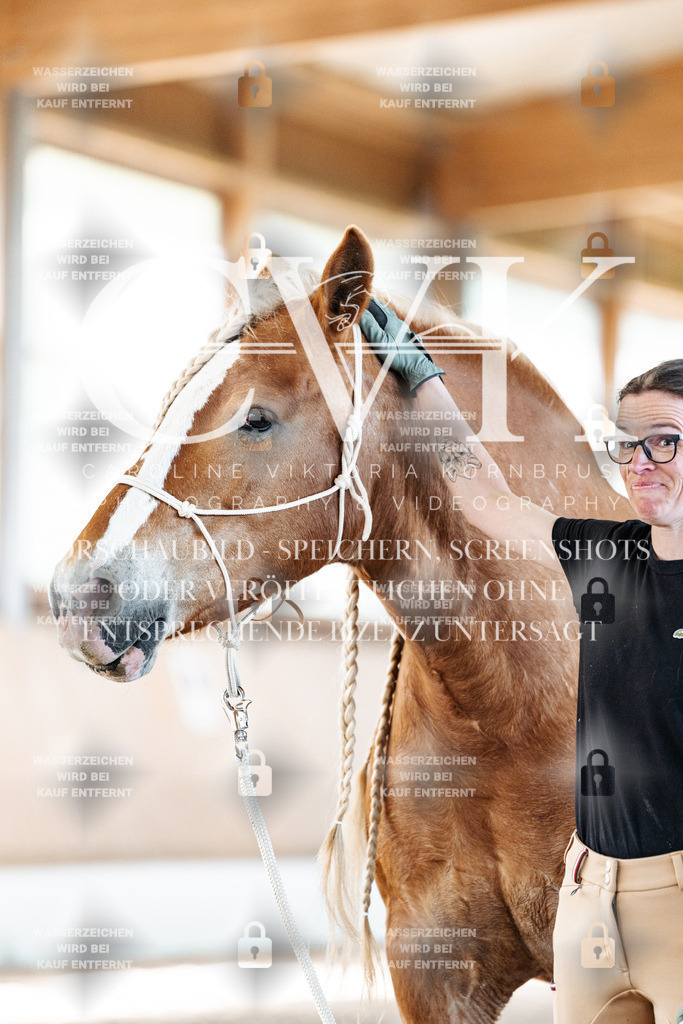CK906765 | Turnierfotografie Pferdefotografie Trier Rheinland-Pfalz Pferdesport Reitsport Tierfotografie Sportfotografie Pferdevideo Pferdevideografie Equestrianvideography equestrianphotography  - Realisiert mit Pictrs.com