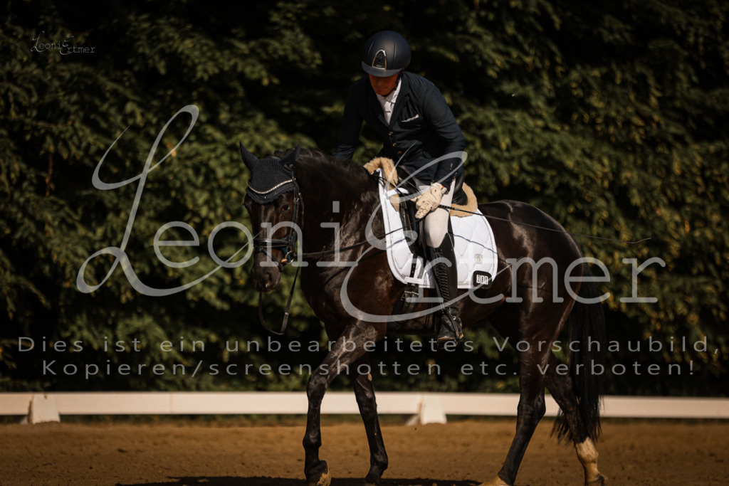 07.FrDrPA00029 | Leoni Ertmer Photography - Realisiert mit Pictrs.com