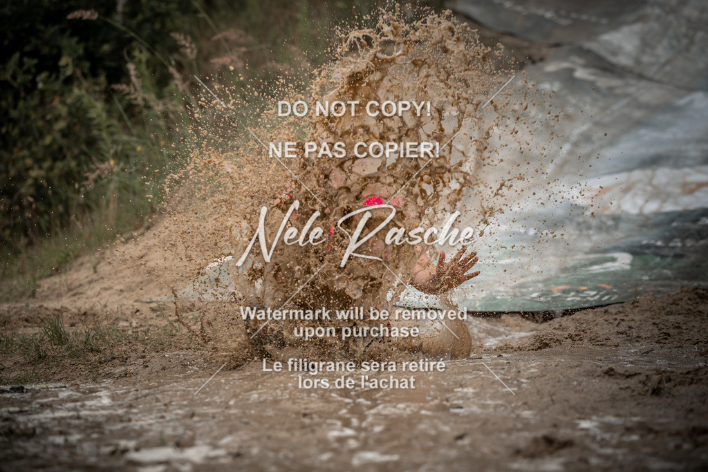 nelerasche_sa1200-1230_194 | nelerasche