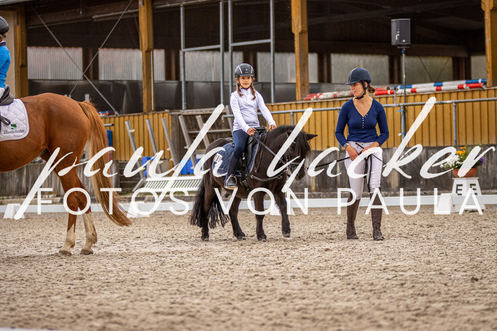 IMG_3921 | Erleben Sie dynamische Sport- und emotionale Tierfotografie in Süddeutschland mit Fotos von Paula. Spezialisiert auf Pferde- und Hundefotografie sowie Sportevents. Kontaktieren Sie mich für einzigartige und ausdrucksstarke Bilder Ihrer besonderen Momente. - Realisiert mit Pictrs.com