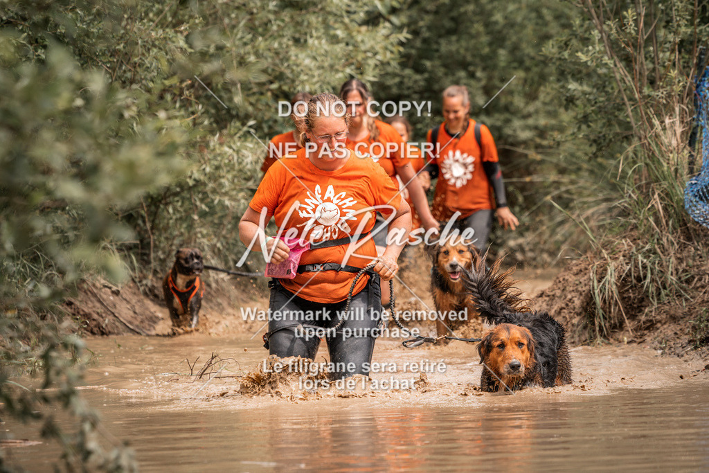 nelerasche_Hoope2026_So1400-1430_208 | nelerasche