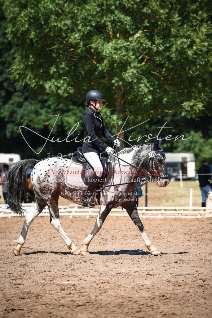 DSC_3213 | Pferde- und Turnierfotografie in Westsachsen. Pferdeportraits, Auftragszeichnungen und intuitive Kunst.