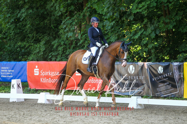 DKP42756 | Turniersportfotografie; Pferdefotografie; Dressurfotografie