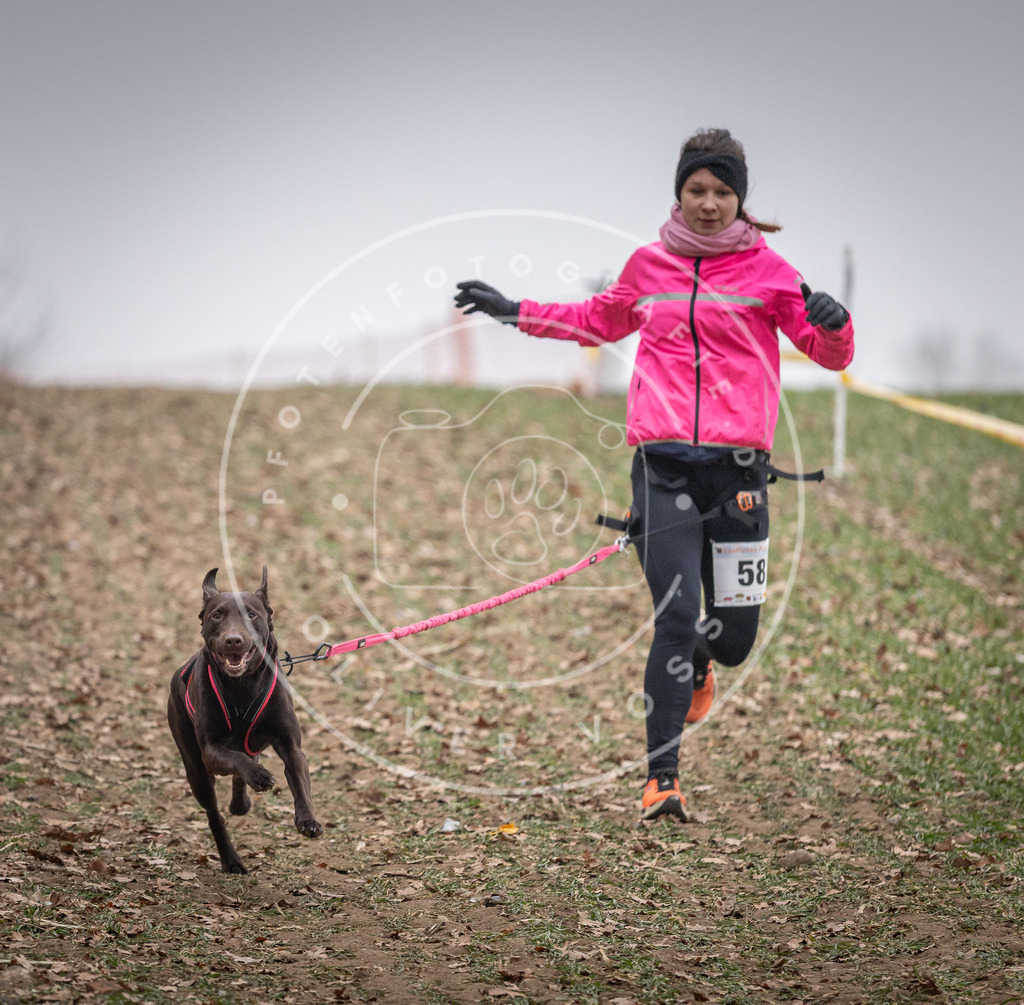 Pfotenfotografie_DV3A1817 | Hundefotografie, Tierfotograf, Pfotenfotografie, Fotoshooting Hund, Hunde Portrait, Hundesport, Hundeportraits, Heideshooting, Hunde, Sportfotograf, Hundefotograf, Turnierhundsport, THS,  - Realisiert mit Pictrs.com