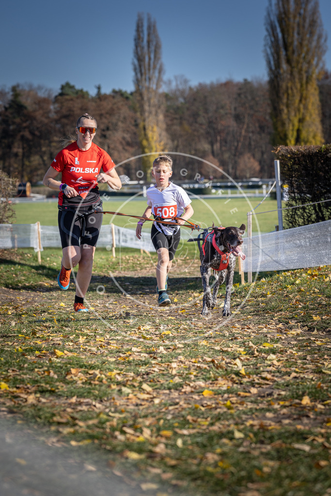 CaniXpix_DV3A7953 | Hundefotografie, Tierfotograf, Pfotenfotografie, Fotoshooting Hund, Hunde Portrait, Hundesport, Hundeportraits, Heideshooting, Hunde, Sportfotograf, Hundefotograf, Turnierhundsport, THS,  - Realisiert mit Pictrs.com