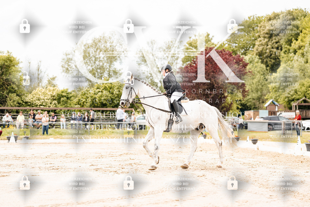 CK902733 | Turnierfotografie Pferdefotografie Trier Rheinland-Pfalz Pferdesport Reitsport Tierfotografie Sportfotografie Pferdevideo Pferdevideografie Equestrianvideography equestrianphotography  - Realisiert mit Pictrs.com