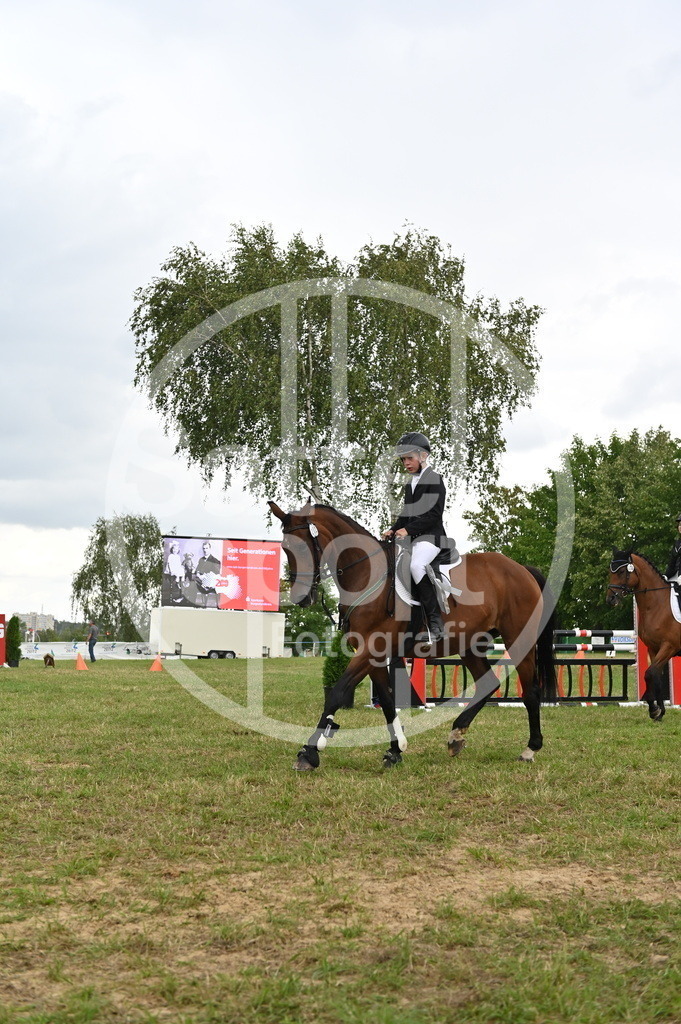 DSC_4431 | sattelsport - Realisiert mit Pictrs.com