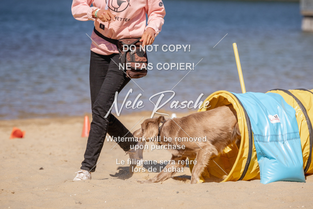 NR__0905 | nelerasche