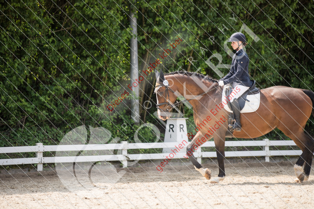 IMG_3754 | Sport-, Event- und Tierfotos in Profiqualität. Einfach auswählen, bestellen und herunterladen. Dein Moment – perfekt festgehalten.