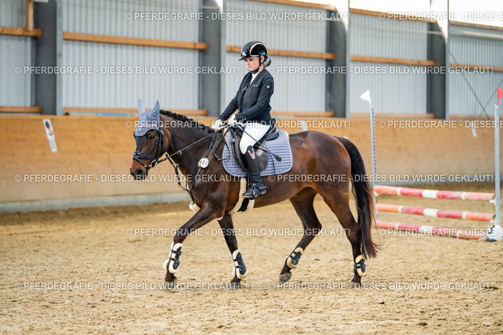 DSC00869 | Pferdegrafie