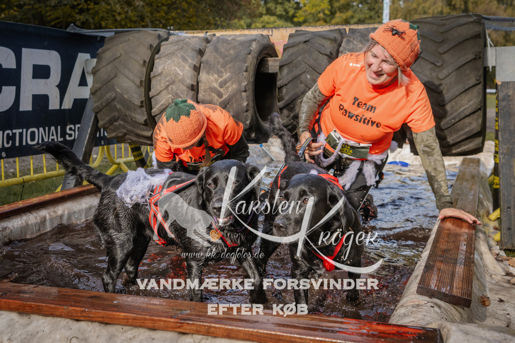 1422_ZZ94445 | kk-dogfotos