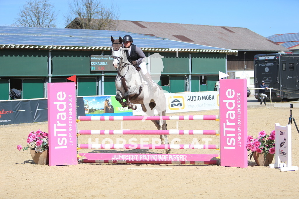 DL2Q0368 | Willkommen bei Brunnmayr - Design & Fotografie – Ihrem Spezialisten für Reitturniere und Pferdeveranstaltungen in Oberösterreich, Salzburg und Bayern! Seit über 17 Jahren sind wir leidenschaftlich dabei.