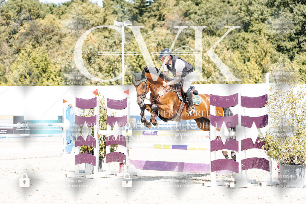 CK900761 | Turnierfotografie Pferdefotografie Trier Rheinland-Pfalz Pferdesport Reitsport Tierfotografie Sportfotografie Pferdevideo Pferdevideografie Equestrianvideography equestrianphotography  - Realisiert mit Pictrs.com