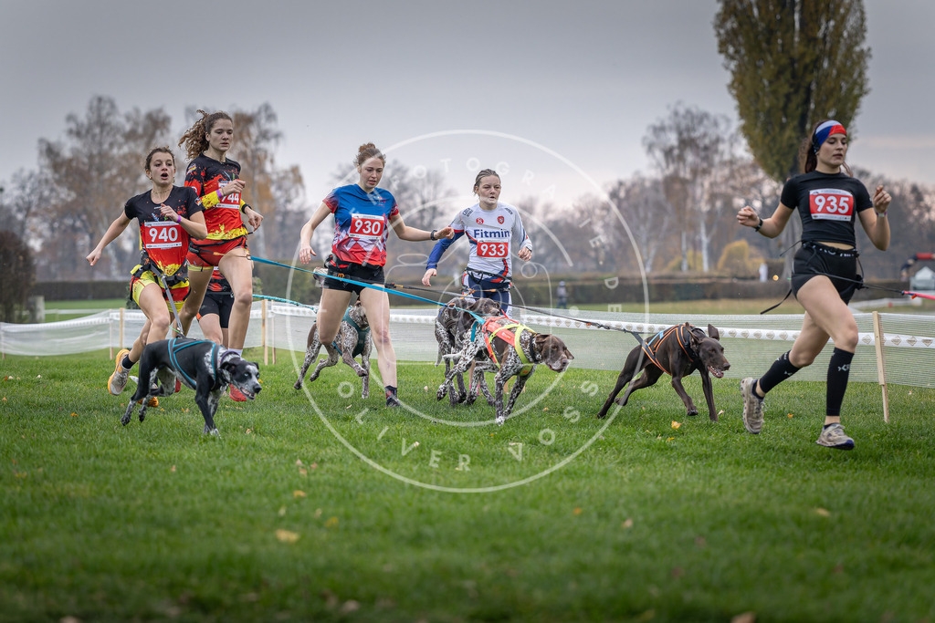 CaniXpix_DV3A7118 | Hundefotografie, Tierfotograf, Pfotenfotografie, Fotoshooting Hund, Hunde Portrait, Hundesport, Hundeportraits, Heideshooting, Hunde, Sportfotograf, Hundefotograf, Turnierhundsport, THS,  - Realisiert mit Pictrs.com