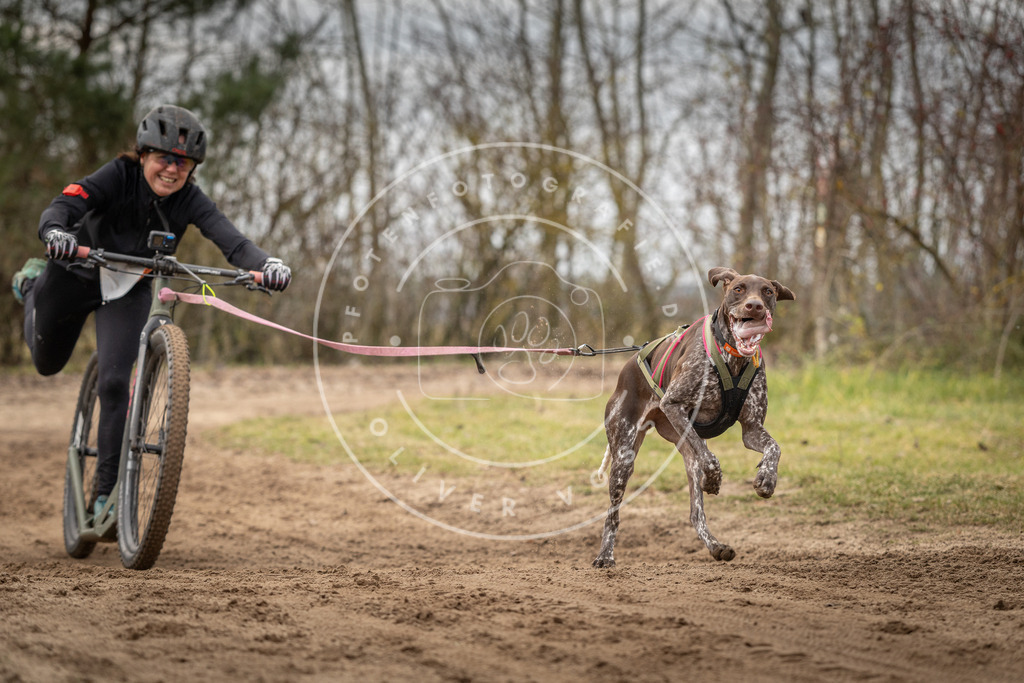 Pfotenfotografie_DV3A9512 | Hundefotografie, Tierfotograf, Pfotenfotografie, Fotoshooting Hund, Hunde Portrait, Hundesport, Hundeportraits, Heideshooting, Hunde, Sportfotograf, Hundefotograf, Turnierhundsport, THS,  - Realisiert mit Pictrs.com