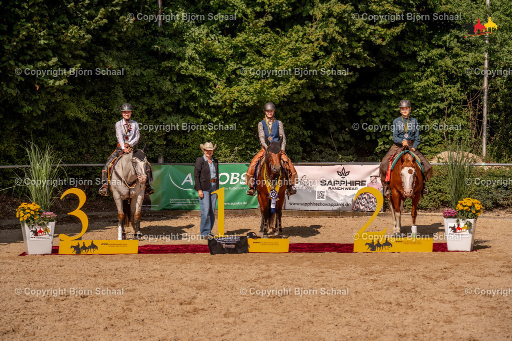LMS08250 | BS-foto