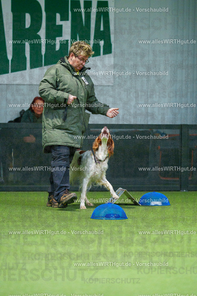 7R500120 | Professionelle Tierfotografie in Mönchengladbach von Daniel Wirth (allesWIRTHgut). Liebevolle & natürliche Bilder von Hunden & Katzen für unvergessliche Erinnerungen.