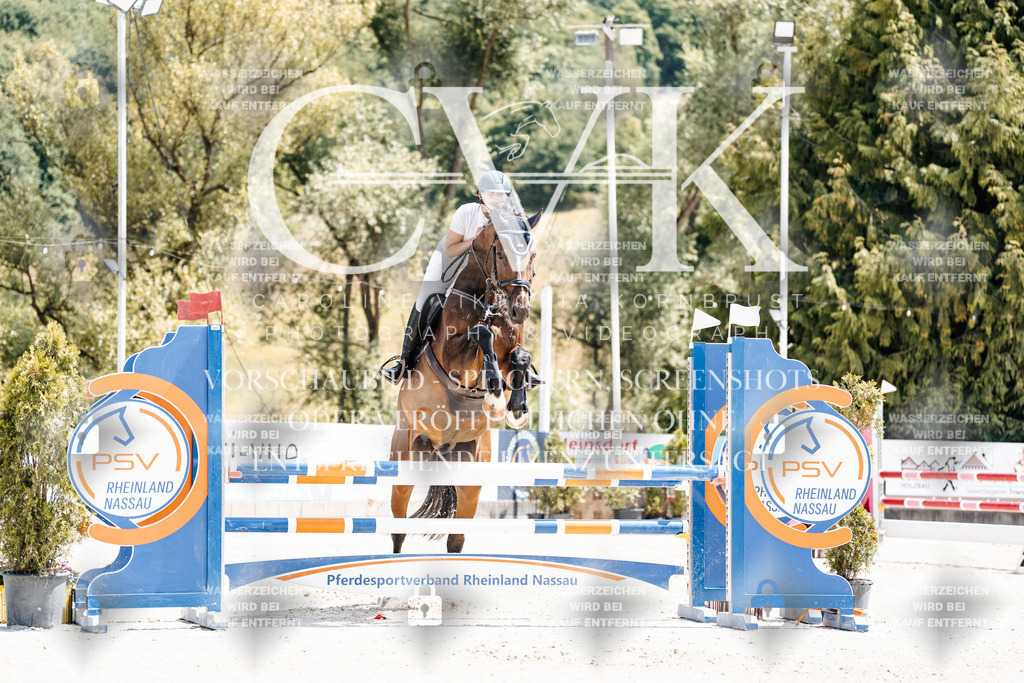 CK907525 | Turnierfotografie Pferdefotografie Trier Rheinland-Pfalz Pferdesport Reitsport Tierfotografie Sportfotografie Pferdevideo Pferdevideografie Equestrianvideography equestrianphotography  - Realisiert mit Pictrs.com