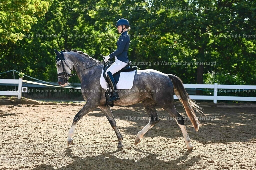 20230715_06_Dressurpferdeprfg. Kl.A_0298 | equistock