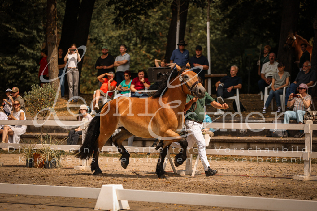 2.Sa00074 | Leoni Ertmer Photography - Realisiert mit Pictrs.com