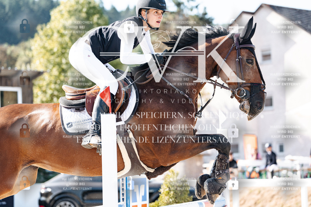 CK904857 | Turnierfotografie Pferdefotografie Trier Rheinland-Pfalz Pferdesport Reitsport Tierfotografie Sportfotografie Pferdevideo Pferdevideografie Equestrianvideography equestrianphotography  - Realisiert mit Pictrs.com