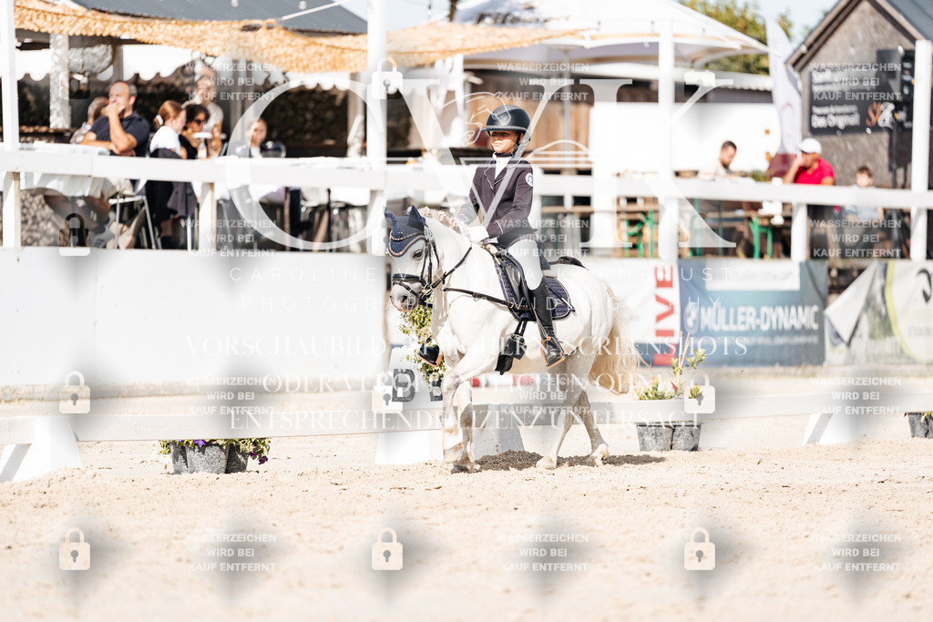 CK905756 | Turnierfotografie Pferdefotografie Trier Rheinland-Pfalz Pferdesport Reitsport Tierfotografie Sportfotografie Pferdevideo Pferdevideografie Equestrianvideography equestrianphotography  - Realisiert mit Pictrs.com