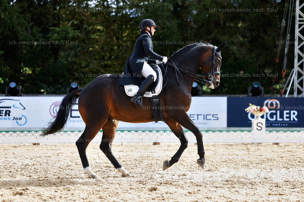 6-160-AMATUER-DRESSUR S_  -StoibPH-3451 | working equitationturnier fotograf videograf stoibphotography marixx film working equitation deutschland reitsport turnierfotografie eventfotografie equestrian events