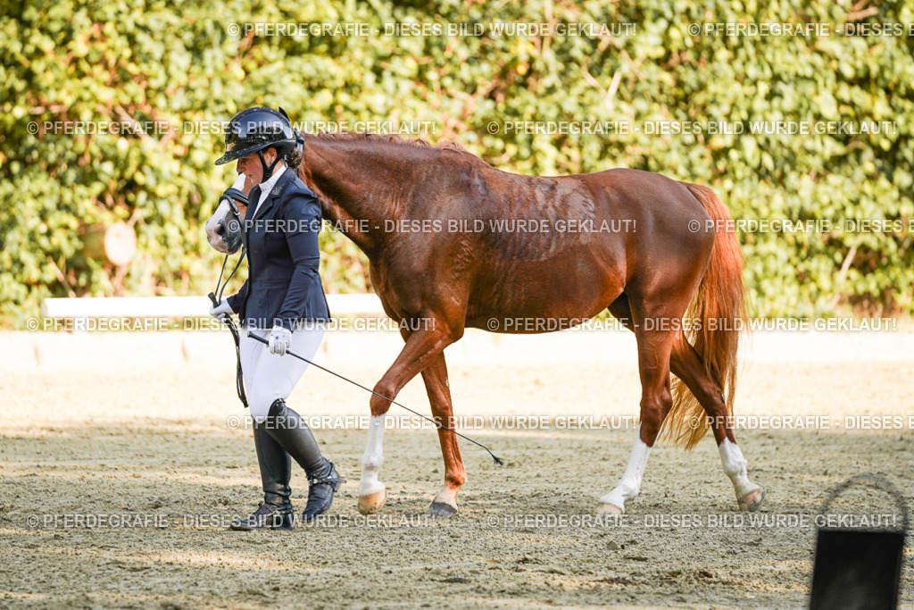 DSC06563 | Pferdegrafie