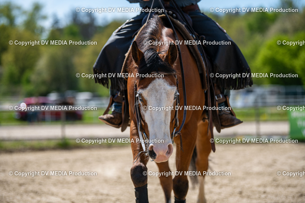 Heiligenwald Tag 3-1606 | dv-media-shop - Realisiert mit Pictrs.com