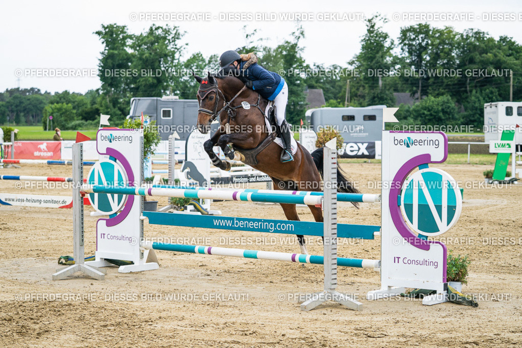 DSC05946 | Pferdegrafie