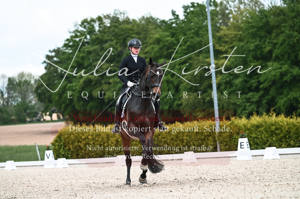 20230514_JK-Röhrsdorf-21-087 | Pferde- und Turnierfotografie in Westsachsen. Pferdeportraits, Auftragszeichnungen und intuitive Kunst.