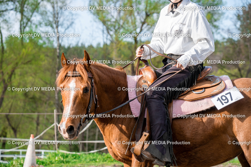 BAL02858 | dv-media-shop - Realisiert mit Pictrs.com