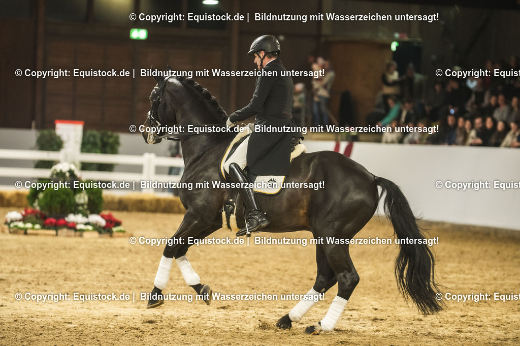 20240302_Hengstvorstellung_Marbach_TOMsPiC_1448 | equistock