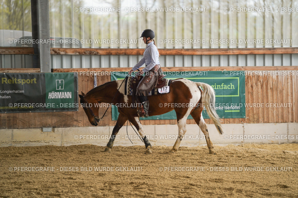 DSC08555 | Pferdegrafie