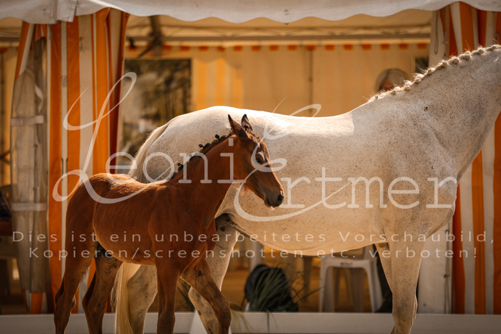 09.DoWBD00099 | Leoni Ertmer Photography - Realisiert mit Pictrs.com